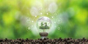 Read more about the article What is ESG